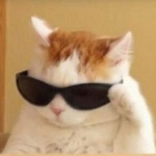 Мемница: мемы про вас