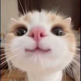 ТЫ ЗНАЕШЬ, КОМУ ЭТО ОТПРАВИТЬ