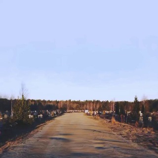 Мемуары гробовщика