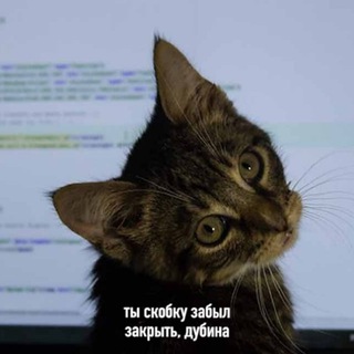 Кружок по фронтенду⭕️