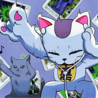 MeowOfLetters ฅ^˶⦁༝⦁˶^ฅ