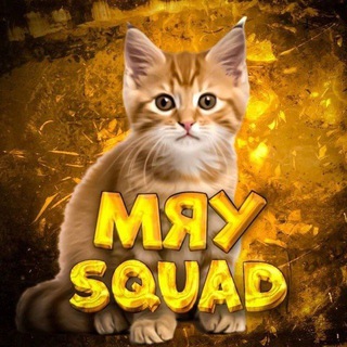 Meow |Squad