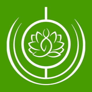 Меридиан здоровья