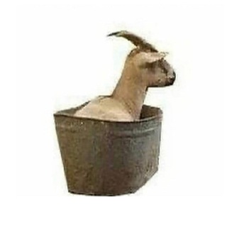 метафизические преколы