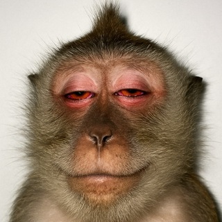 Нейросети Сделают