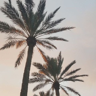 Ветер с моря дул