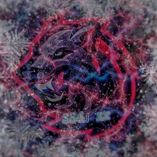 🤫『354』zx 🤫