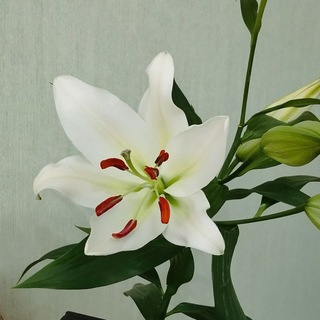 강점 - Ваш опорный пункт