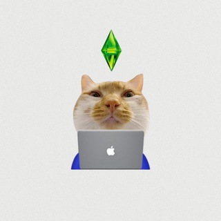 Заметки дизайнера / meveronika