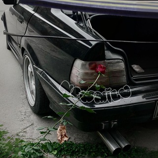 ‎мевмилу‎ꨄ︎🐈‍⬛