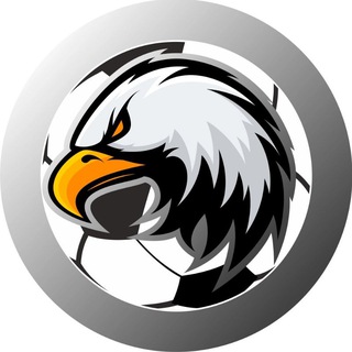 Академия МФК Сиб-Транзит