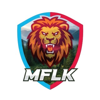 MFLK | Media Football League Krasnoyarsk