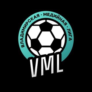 Владимирская Медийная Лига