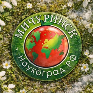 Город Мичуринск