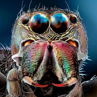 Мир под микроскопом 🔬