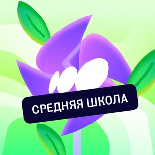 Средняя школа с Соткой