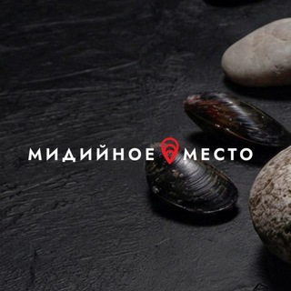 МИДИЙНОЕ МЕСТО Россия