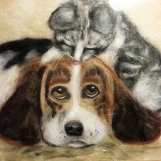 АНО Зооцентр Милый друг