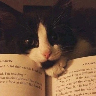 душевный покой.