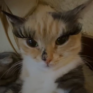 milkaff