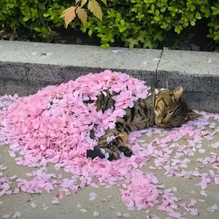 Краткая рецензия🦇