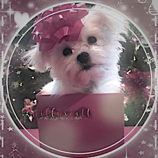 ˗ˏˋ𝒽ℯ𝓁𝓅 ’ясяш₊୨