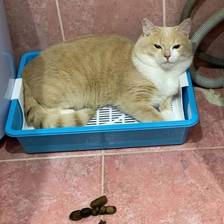 Кто двинется тот гей