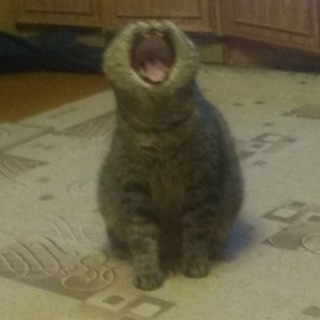 Mimimetr channel Russia