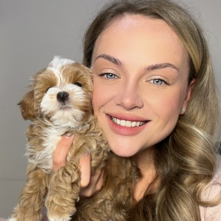 Mimimi_maltipoo Мальтипу Щенки Москва Россия