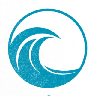 NaviGate 🛟 метанавыки адаптации