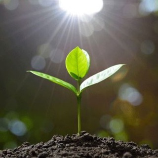 Свобода быть собой🔹Юлия Козырь