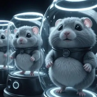 Ключи Hamster Kombat / Hamster Keys ключи хомяк хамстер комбат коды