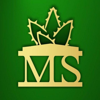 🌵 Министерство_суккулентов🌵