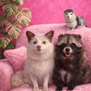 Девушка с лисой