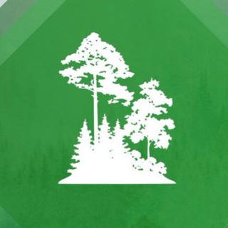 Министерство лесного хозяйства и лесопереработки Хабаровского края