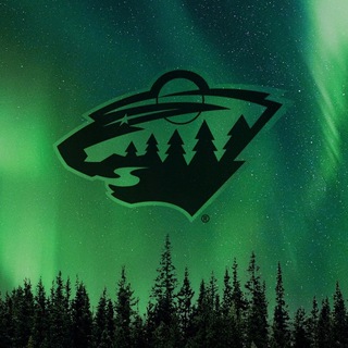 🌲Minnesota Wild | Миннесота Уайлд🌲