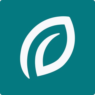 민터레스트 코리아 (Minterest Korea)