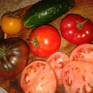 Минутка Огородника | Линда Мер - с вами! 👍