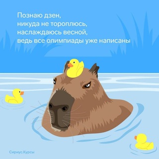 Физтех.Капибара