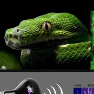 СКУПКА РАДИОДЕТАЛЕЙ И РАДИОЛАМП СССР