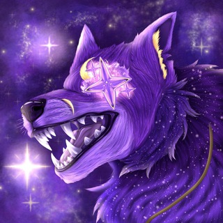 🐺 𝙈𝙞𝙧 𝙉𝙞𝙜𝙝𝙩 ⏤͟͟͞͞ 〄