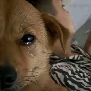 депрессивные пикчи