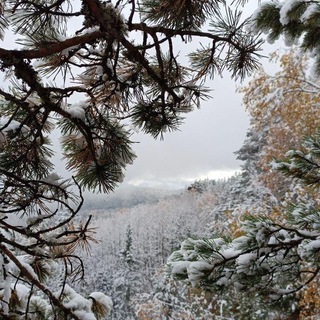 Поэтический мир!🎭