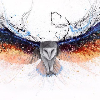 Миры шаманки