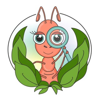 Мирмика анонсы