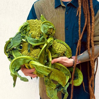 МИР МИР Шеф