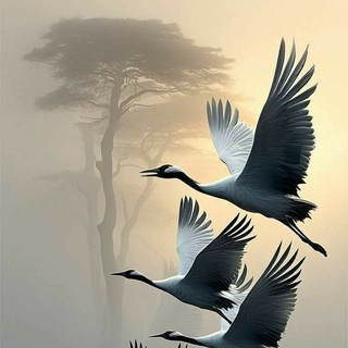 Миропорядок