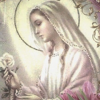 𝑴𝑰𝑹𝑶𝑵𝑶𝑺𝑰𝑪𝑨 🕊