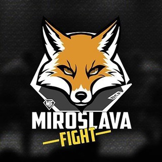 MMA Miroslava Fight