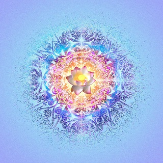 МИР Жителей 🩵 Новой Земли